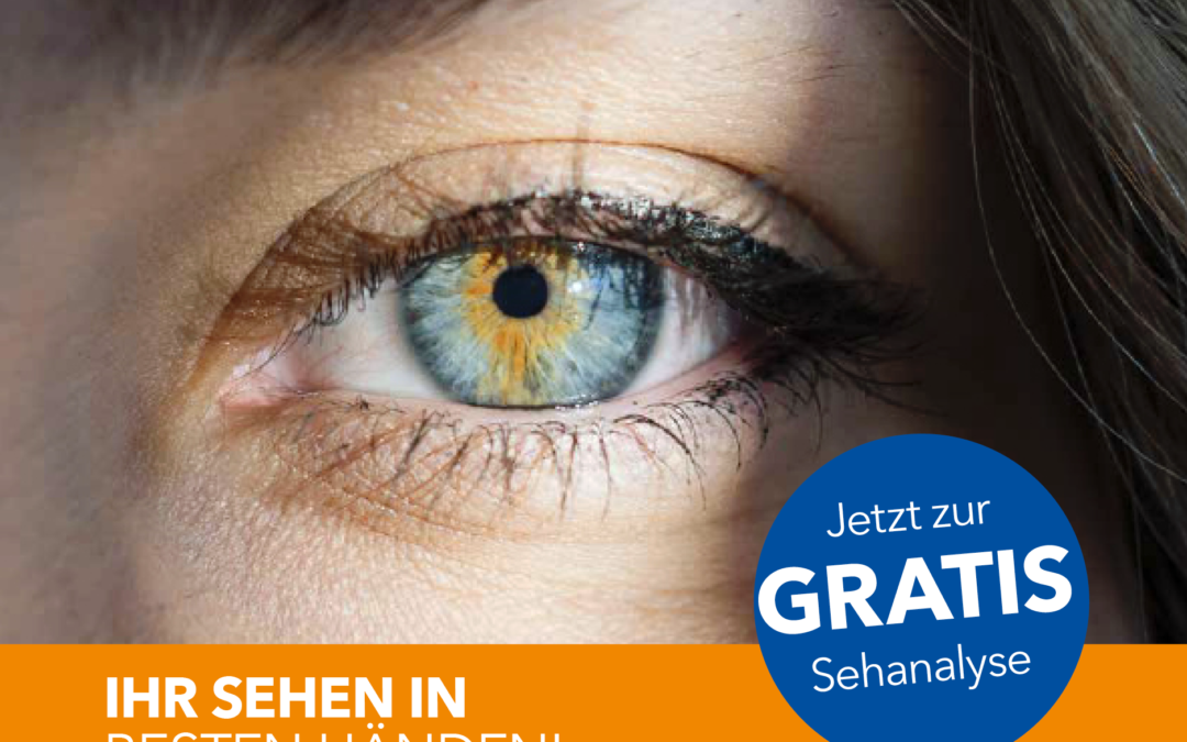 Teaser Sehanalyse